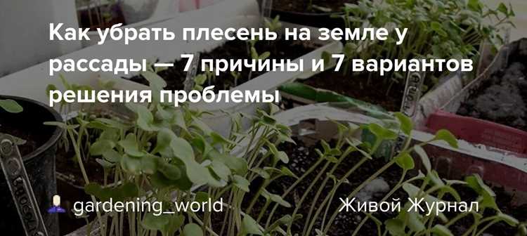 Как определить дальнейшие действия