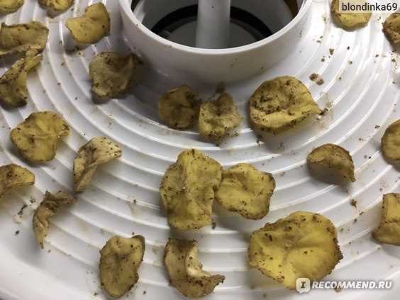 Как приготовить вкусные чипсы в сушилке для овощей простым способом дома Чипсы в сушилке для овощей: Как приготовить вкусную закуску дома