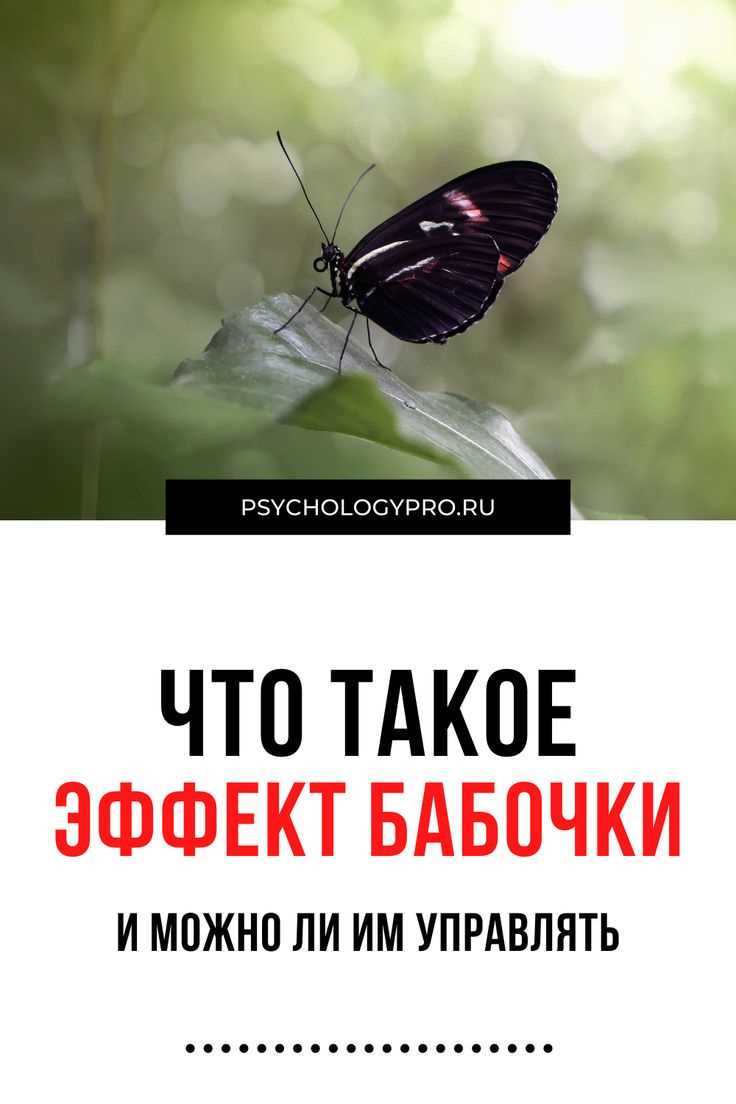Эффект бабочки: что это такое простыми словами