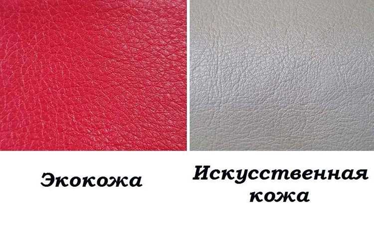 Экокожа: Что это такое и чем она отличается от искусственной кожи и кожзама?