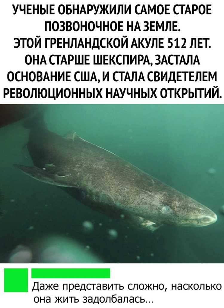 Опасная добыча и странные привычки