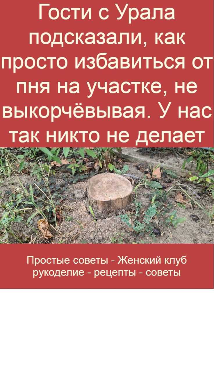 Как избавиться от пня за 10 минут? Простая схема, которая работает