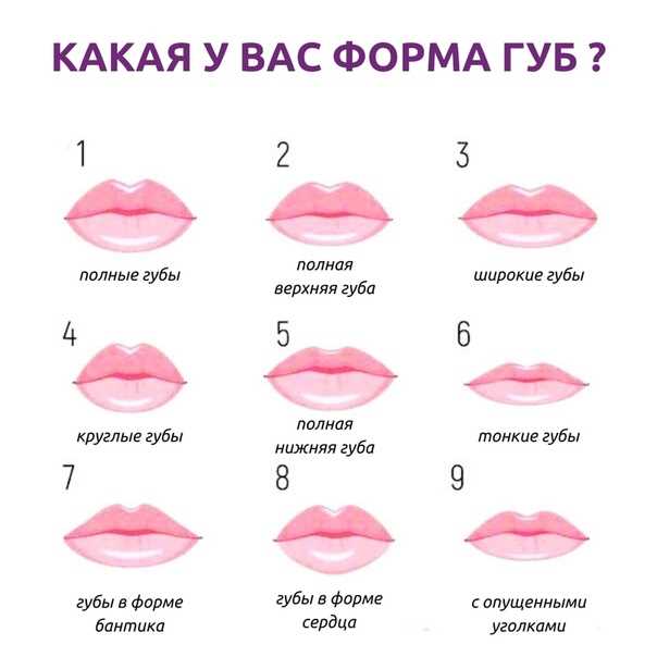 Форма губ и характер женщины секреты чтения по губам от бантика до тонких Как определить характер женщины по форме губ: бантиком или тонкие – секреты чтения по губам