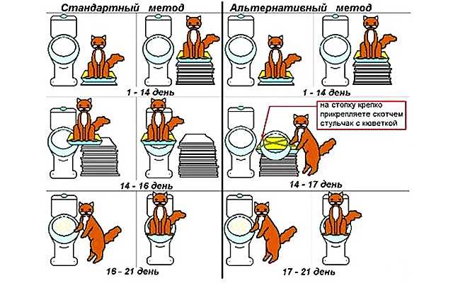 Ошибки, которые провоцируют стресс