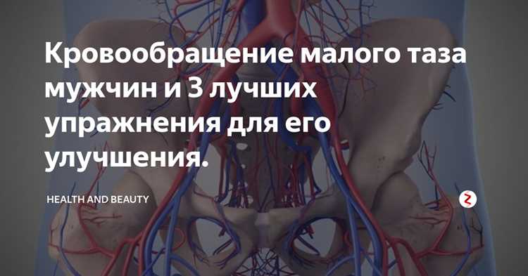 Как улучшить кровоток в малом тазу у мужчин Как улучшить кровоток в малом тазу у мужчин