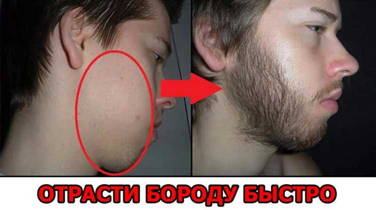 
Как увеличить рост волос на лице: эффективные методы и советы для густой бороды
**Оптимизация под SEO:**
- Включены ключевые запросы (увеличить рост волос на лице, густая борода).
- Четко обозначена тема статьи.
- Добавлены слова-триггеры (эффективные методы, советы), повышающие кликабельность.
Если нужен более узкий вариант, можно использовать:
Как быстро отрастить бороду: проверенные способы и уход за волосами на лице
