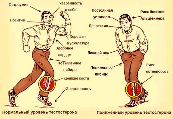 Как увеличить тестостерон у мужчин в 30 лет