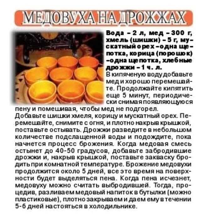 Медовуха домашняя: 9 вкусных рецептов приготовления в домашних условиях
