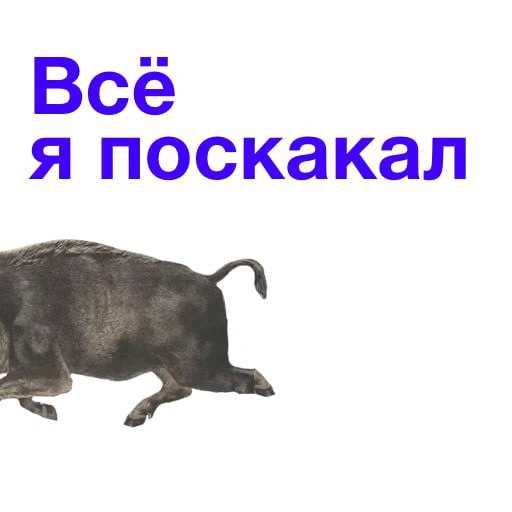 Примеры использования в мемах, фильмах и повседневной речи