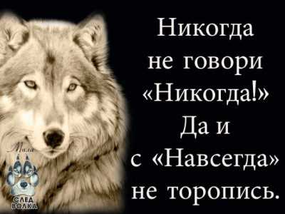 Почему мы так часто нарушаем свои «никогда»
