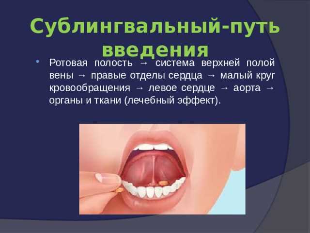 Тонкости абсорбции и метаболизма