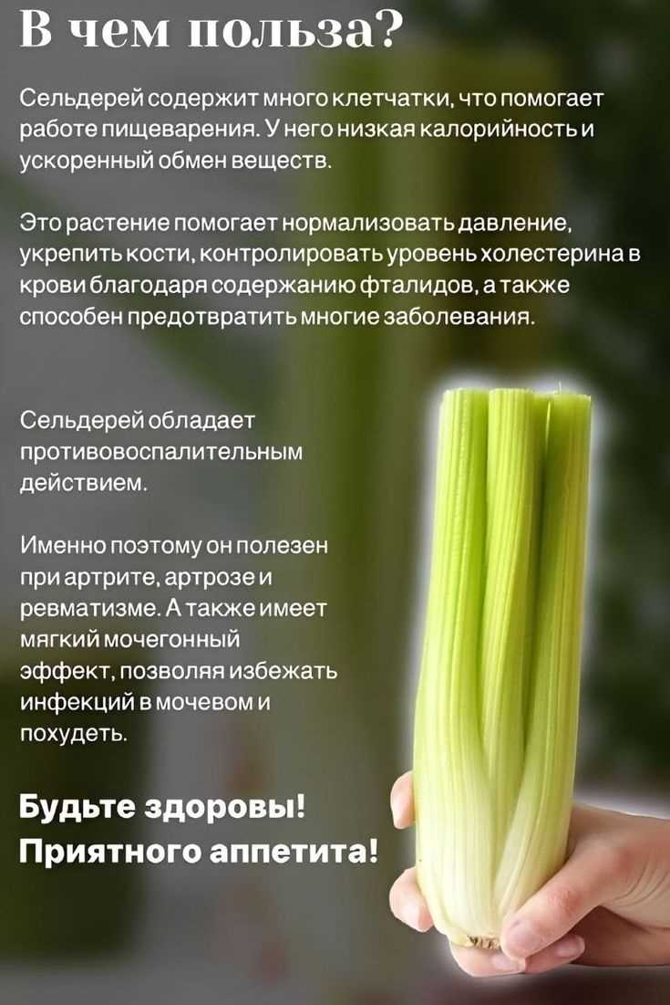 Правда ли, что сельдерей не вкусный? Как приготовить его, чтобы был вкусным и съедобным?