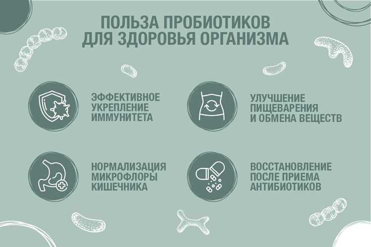 Как пробиотики влияют на пищеварение при ежедневном приеме