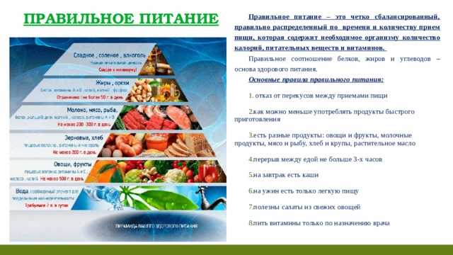 Мифы и заблуждения о рационе для мужчин с активной жизнью