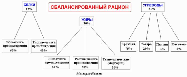 Сбалансированное питание - что это