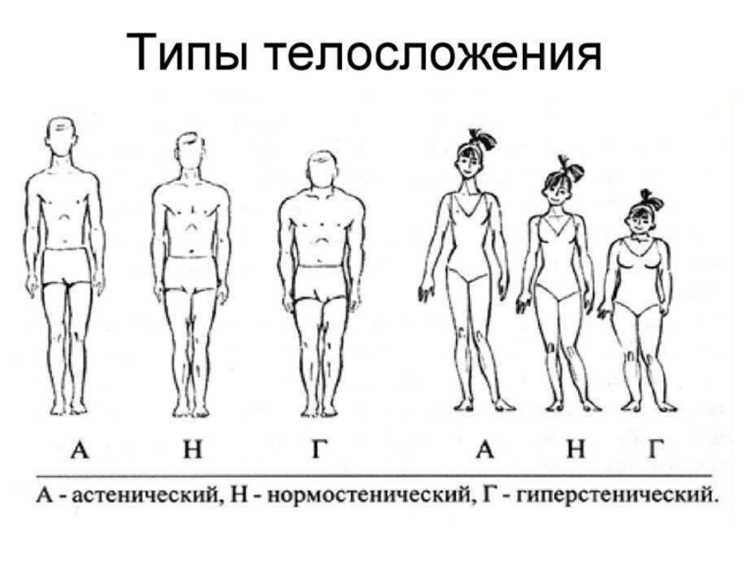 Типы телосложения мужчин: как определить свой и что это значит