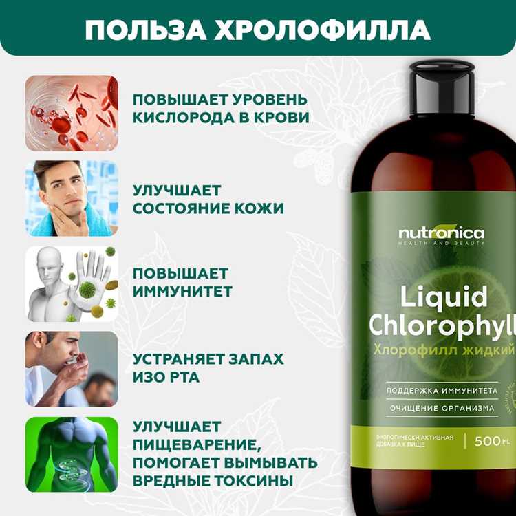 Хлорофилл питьевой - что это, польза и вред для организма Хлорофилл питьевой: что это, польза и вред для организма