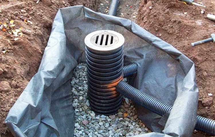 Спасение растений и газона